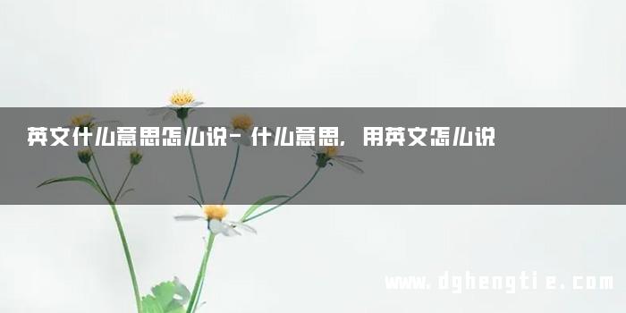 英文什么意思怎么说-什么意思,用英文怎么说 